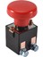ED250(CZK250)48V Acil Durum Kesme Anahtarı Araba Otomobil Araç Için Basmalı Düğme Anahtarı (Yurt Dışından) 2