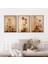 Kahverengi Ahşap Çerçeveli 3'lü Duvar Tablo Seti, Şık ve Doğal Dekor Seçeneği 1