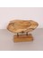 Mylamp Carvıng - Teak Ağacından Oyma Masa Üstü Dekor 30X18 cm 4