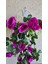 Yapay Sarkan Gül Sarmaşık 5 Dal 100 cm 2