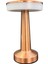 KML105 Dokunmatik Rose Masa Lambası Cct (3 Renk Opsiyonlu) 1
