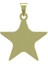 14 Ayar Altın Yıldız Kolye Ucu 0.5 Gr, KC15408 Kodlu 8