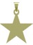 14 Ayar Altın Yıldız Kolye Ucu 0.5 Gr, KC15399 Kodlu 8