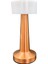KML103 Dokunmatik Rose Masa Lambası Cct (3 Renk Opsiyonlu) 1