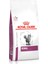 Royal Canin Renal Kedi Maması 4 kg 1