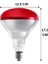 (10 Adet) Philips 250W Kızılötesi (Infrared) Isıtıcılı Hayvan Isıtma ve Fizik Tedavi Lambası (Kırmızı Işık) E27 (Kalın Duy) 3