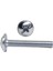 Yıldız Başlı Rysb Kulp Vida Civata M4X20 - 500 Adet 1