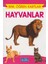 Hayvanlar - Ahmet Altay 1