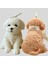 Büyük Teddy Mum Kalıbı Sevimli Köpek Silikon Kalıp Sabun Soya Balmumu Epoksi Reçine Kendin Yap El Sanatları Parti Yemeği Süsleri (Yurt Dışından) 5