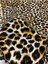 %100 Pamuk Leopar Desen Lüx Viskon Kumaş En 150CM 3