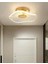 Istanbul Avize Şapka Plafonyer Tavan Gold 3 Renk LED Lüx Modern Ledli Avize 1