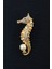 Gold Renk Incili Denizatı Broş. Taşlı Tasarım Denizatı Broş. Yaka Iğnesi Broş. Denizatı Broş. 4