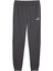 Ess Tape Sweatpants Dk cl Koyu Antrasıt Erkek Eşofman Altı 2