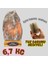Doğal Kaya Tuz Lambası, Renkli ve Sağlıklı, 6-7 Kg, Şık Dekoratif Parça 1