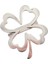 Çelik Silver Dört Yaparaklı Yonca Broş. Yaka Iğnesi Yonca Broş. Erkek Broş. Kadın Broş. Yonca Broş. 3