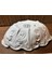 Limoges Rehausse Main El Boyama Sunumluk Şekerlik Kase - 19 cm x 12 cm x 6 cm 2