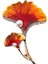 Ginkgo Yaprağı Incili Taşlı Broş. Yaka Iğnesi Broş. Kadın Broş. Çiçek Broş. Ginkgo Broş. Gold Broş. 1