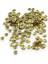 Gold 10 mm Bombeli Pul Payet (30 gr 105 Adet) 1
