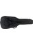 Elektro Gitar Kılıfı PG-E40 2