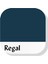 Akrilik Multisurface Boya 50ML Regal 5