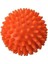 Yumuşak Dikenli Masaj ve Duyu Topu, Turuncu, 6 Cm, Çok Renkli 1