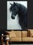 Renkli Siyah At Portresi Dekor Kanvas ve Ahşap Tablo 2