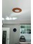 42CM Yuvarlak Meşe Kaplama LED Tavan Aydınlatması, Yatak Odası, Koridor, Banyo Işığı 2