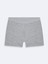 Gri Boxer 1