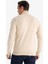 Slim Fit Dar Kesim Balıkçı Yaka Basic Düz Triko Kazak R1127AZ25WN 6