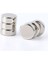 25 Adet 6mm x 3mm Yuvarlak Güçlü Neodyum Mıknatıs Seti 4