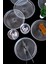 Beyaz 19CM Cam Pasta Tabağı 6’lı Set, Şık ve Zarif Sunumlar Için Perfect 5