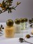 250 Adet Otel Tipi 35ML Duş Jeli 3