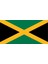 Jamaika Ülke Bayrağı 45X22CM Duvar Tablosu Çerçevesiz Pvc Tablo 1