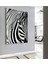 |zebra Modeli ( CKD-146) |çerçeveli Kanvas Tablo Ckdikey 1