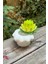 Beyaz Lotus Çiçek Silikon Mum Kalıbı, 8 Parçalık Set 2