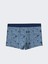 Lcw Kids Mavi Baskılı Erkek Çocuk Boxer 3'lü 2