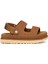 Kadın Sandalet 1167399 Ugg W Goldenstar Glıde Chestnut (Taba) 1