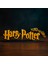 Harry Potter Yazılı 3D Dekoratif Obje 20CM | Masaüstü Süs ve Duvar Aksesuarı | Film Temalı Hediye 1