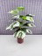Yapay Yapraklı Çiçek Monstera Yeşil Beyaz Deve Tabanı Salon Çiçeği 65CM 18 Yaprak 5