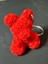 Rose Bear Keychain Edition 1