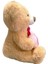 35 cm Kalp Tutan Ayı Peluş Haley 1