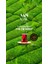 Çay Premium Quality 750GR 3'lü 4