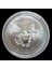 U.s.a. – Sıngapore Singapur Expo 2015 Fuarı – Renkli Baskı Amerika “silver Eagle” Dollar 2015 – 2