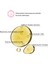 Anti-Aging ve Cilt Yenilemeyi Destekleyici Temel Bakım Seti Vegan (Safran & Peptit) 4