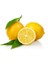 Sofra Mutfak Gereçleri Tek Kullanımlık Giyilebilir Hijyenik Limon Bonesi - Çekirdeksiz Limon Keyfi, 100 Adet Hediyelik Sunum Örtüsü 5