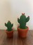Örme Kaktüs - Dekoratif Çiçek (2'li) 1