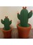 Örme Kaktüs - Dekoratif Çiçek (2'li) 2