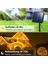 Solar Güneş Enerjili 10 Metre 100 Ledli 8 Animasyonlu Bahçe Balkon Ağaç Teras Aydınlatma Dekor Işık 5
