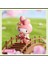 Stok Kutu Sanrio Yeni Kemirleme Çiçek Giysileri Serisi Melody Kuromi Pacha Köpek Büyük Kulak Köpek El Yapımı Dekoratif Oyuncaklar Hediye Renk: B/boyut: Çin Versiyonu (Yurt Dışından) 1