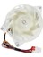 EAU64824805 Z40E12MS1A0-57K06A Buzdolabı Evaporatör Fan Motoru Yedek Parçaları DC12V 1A, 4-Pin (Yurt Dışından) 1